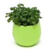 الوعاء الزهور البلاستيكي للمزارعين للنباتات الخضراء النباتية Coloful Flowerpot Home Office Decoration Garden Supplies 7cm 6.5cm