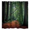 Tende da doccia Paesaggio naturale Foresta Tenda da doccia Alberi tropicali Bagno Tenda impermeabile Stampa 3D Scenario Tenda divisoria con R230831