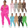 Designer Velvet Tracksuits Women Fall Winter Sweatsuits Lång ärm Huvajacka och Sweatpants Två 2 -delade uppsättningar Velor Outfits Bulk Partihandel kläder 10090