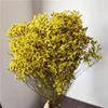 Kwiaty dekoracyjne DIY Weddle Materiały Naturalne wysuszone świeżo kryształowa trawa wieczna sucha kwiat małżeństwo