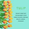 Fiori decorativi 5/10 pezzi tulipani artificiali vero tocco bouquet di tulipani decorazioni fiori finti per matrimoni in camera di casa