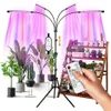 LED élèvent des lumières 4 têtes plantes d'intérieur spectre complet lumière trépied support réglable sol 4 8 12H minuterie avec télécommande 245h