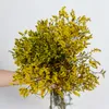 Fleurs décoratives en cristal, herbe naturelle fraîche séchée et conservée, Arrangement de fête de mariage, véritable branche d'amoureux pour la décoration de la maison