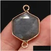 Charms naturliga halvädelar sten hexagon connector hänge gul agat flash labradorite 16x40mm för smycken tillverkning halsband gåva dho1g