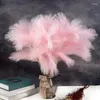 Decorative Flowers 60cm Fluffy Pampas Reed Boho Decor Fake Plant Encrypted Mock Artificial For Wedding Party Home