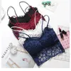 Autres articles de beauté de santé Mode Lady Dentelle Soutien-gorge Sous-vêtements Enveloppé Poitrine Femmes Sangle Sexy Couleur Unie Fourniture x0831