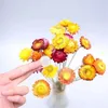 Dekorativa blommor 30st Natural Colorful Dry Daisy Flower for Homewedding Decoration Dried Plants Arrangement Garden