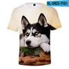 Herren-T-Shirts, Tierhund, Husky, 3D-Druck-Shirt, Damen, Herren, Jungen, Mädchen, Sommer, modisch, O-Ausschnitt, Kurzarm, lustiges T-Shirt, Grafik-T-Shirts, Streetwear