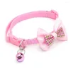 Abbigliamento per cani Accessori per cuccioli regolabili Accessori per gatti Gioielli Collana Personali Collari Personali