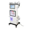 14 em 1 Máquina de microdermoabrasão hidráulica Máquina facial de oxigênio da pele ultrassônica