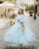 Festklänningar ljusblå vacker elegant prom puff ärmar v hals daisy tyll a-line kvinnliga bröllopsklänningar plus storlek skräddarsydd