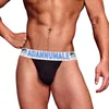 UNDUPTS 4pcs Yumuşak Jockstrap Invey Giyim Man Kısa 2023 Pamuk içi Gay Gay Seksi Erkek Külotları Kılavuzu Erkekler Calzoncillos