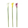 Fleurs décoratives Simulation fleur Pu tuyau petit Calla Lily tir accessoires Table réunion faux