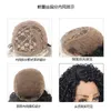 Wig Women Short Hair Partial Front Lace Wig Chemical Fiber Small Curly Full Head Cover Wigs