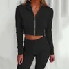 Zweiteilige Damenhose Frühlingsfrauen mit Reißverschluss, Kapuze und langärmeligem, schmalem Sweatshirt-Trainingsanzug, bauchfreiem Top, Bodysuit, Freizeithose