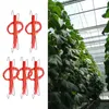 Trädgård levererar annan tomatstöd j krok krokar trellis garnhållare förhindrar tomater från att klämma eller falla av 32,8ft