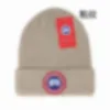 デザイナーユニセックスニット帽子イン人気の冬の帽子レターグースビーニー暖かいウールキャップ冬スキー屋外コールドキャップ 17 色