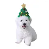 Abbigliamento per cani Copricapo natalizio per animali Fascia per albero Cappello Palla Decorazione per feste Cani di taglia piccola e media Forniture per gatti