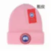 デザイナーユニセックスニット帽子イン人気の冬の帽子レターグースビーニー暖かいウールキャップ冬スキー屋外コールドキャップ 17 色