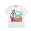 Heren T-shirts Designer Korte mouwen T-shirts Regenboog Kokos Gedrukt Gebreide katoenen T-shirts Ocean View Letter Vay8