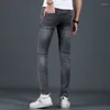 Jeans da uomo primavera e autunno trapano uomo di lusso punk cowboy in moda coreana di alta qualità originale Slim Harajuku grigio