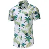 Camisas casuais masculinas camisa masculina de verão Blusa Holida de férias 3D Coconu Print Men Oversize Sleeve Tops Tops 6xl 7xl