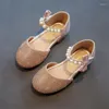 Flat Shoes Toddlers Girls Leather PU Patent Children Flats For Little Medium Kids Pink Party Wedding Performance Bow