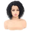 Wig Women Short Hair Partial Front Lace Wig Chemical Fiber Small Curly Full Head Cover Wigs