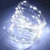 Strings 10/20/30 LED Lights Bateria Micro Rice Drut miedziany wróżka butelka oświetlenie lampa ogrodowa lampa weselna zasilacz dekoracji