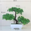 Decoratieve bloemen Multicolor beschikbaar Mini Yingkesong Pine Home Tafel Decoratie Kleine ingemaakte plant kunstmatige groene bonsai