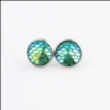 car dvr Stud Resin Fish Scale Stainless Steel Earings Drusy Druzy Earrings Jewelry Women Party Gift Dress Candy Colors Drop Delivery Dh5Jk