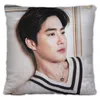 Pillow Jin Junmian Pillowcase Pretty Scholar Yu Lexuan Same Paragraph Star Po Poster Cover Souvenir Home Decor Throw