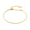 Bangle aneebayh minimalistisk rostfritt stål cirkelkedja armband för kvinnor 14 k guldpläterad utsökta trendiga smycken 2023