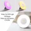 Tischlampen 3 Stecker Bunte Wake Up Digital LED Licht Wecker mit Sonnenaufgang Simulation FM Radio Lampe für Zuhause Schlafzimmer Dekoration