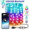 Stringhe 2/5/10/15/20M Smart RGB Fata String Light APP Controllo Bluetooth Impermeabile USB Filo di rame Luci Ambiente festivo fai-da-te