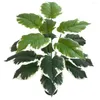 Flores decorativas Planta verde artificial Evergreen Pig Heart Dill paustado Fake Fake Grande Tree Tropical Leaf Home Garden El Office Decor