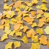 Decoratieve bloemen Gift PO Props Wedding Ornament Yellow Faux Falling Leaf Home Decoratie Autumn Sfeer Artificail Ginkgo Bladeren