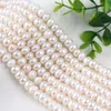 Choker 10-11mm Quality Button Real Natural White Freshwater Pearl Beads Strand