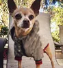 Üst düzey evcil köpek giyim klasik desen moda ayarlanabilir evcil hayvan koşumları ceket sevimli oyuncak kapüşonlar takım elbise küçük yaka