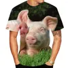 Men's T Shirts Summer Novelty Animal Pig 3D Printed Men's Shirt Funny Piggy Crew Neck Loose Short Sleeve Top