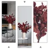 Fiori decorativi Eucalipto Foglie secche Rami Steli Natural Artificial Real Filler Vaso Bouquet Disposizione floreale Mazzo di fiori