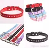 Puppy Dogs Kraag Bell Rhinestone PU Leather Cat Supply Carrars Pet Neck Riem G475