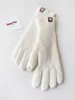 Guantes de cinco dedos Guantes de invierno de otoño para mujer Verde Elegante Pantalla táctil cálida Casual Guantes largos blancos vintage de punto al aire libre 230302