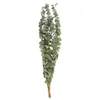 Fleurs décoratives Feuilles d'eucalyptus naturelles Accessoires Arrangement floral Fleur séchée Real Palnt Branches Tiges Mariage Home Decor Party Supply