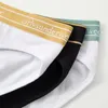 Onderbroek orlvs slips in gedrukte tagless lable sport shorts huidvriendelijke kleur met nul gevoeligheid comfortabele stijlvolle gratis broek