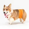 Abbigliamento per cani Pannolino per cuccioli Tinta unita Assistenza sanitaria Pantaloni fisiologici anti-molestie per animali domestici estivi Per