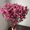 Fiori decorativi 100g Bouquet di erba di cristallo conservata Ramo di fiori immortali essiccati naturali reali Ramo di fiori per feste di nozze fai-da-te Decorazione domestica