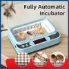 quail egg inkubator