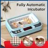 quail egg incubator