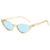 Ladies Cat Eye Sunglasses Small Frame Avantgarde Eyeglasses Simple Avantgarde Street Sun Glasses For Woman And Men